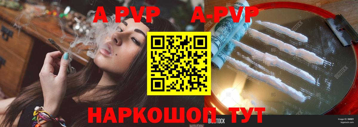 Альфа ПВП СК Дербент
