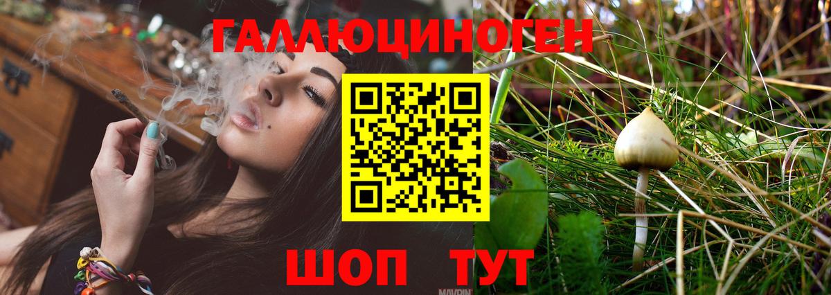 Псилоцибиновые грибы ЛСД  Вход с VPN  купить закладку  Галлюциногенные грибы Psilocybine cubensis  Дербент 